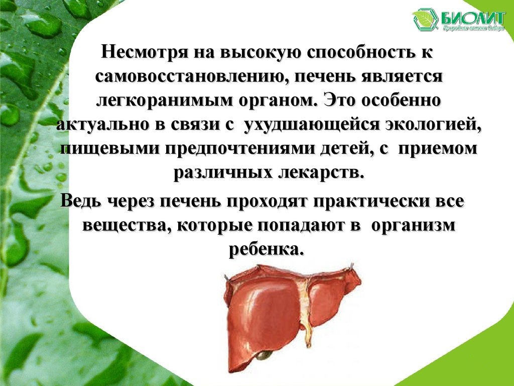 Биолит