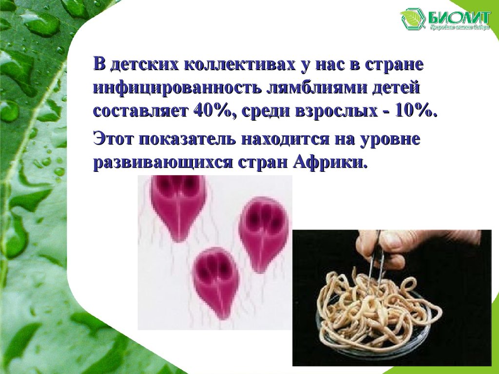 Танаксол