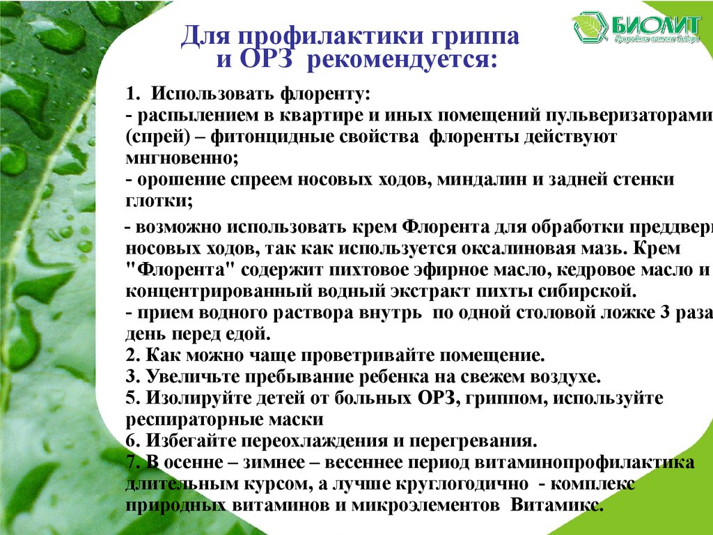 Флорента