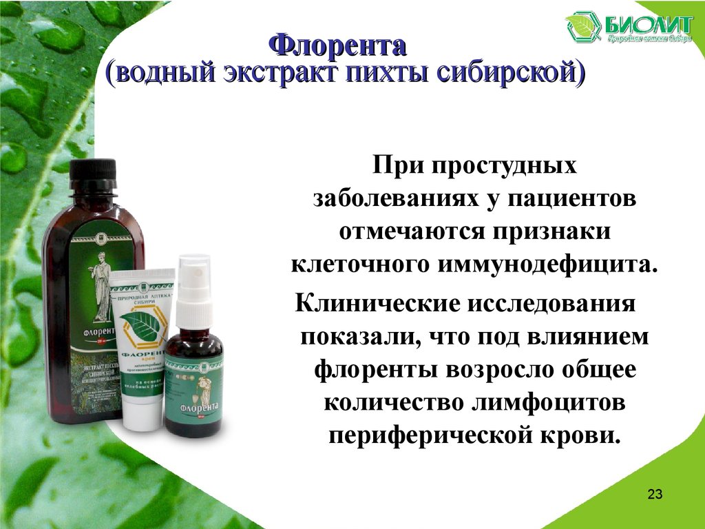 Флорента