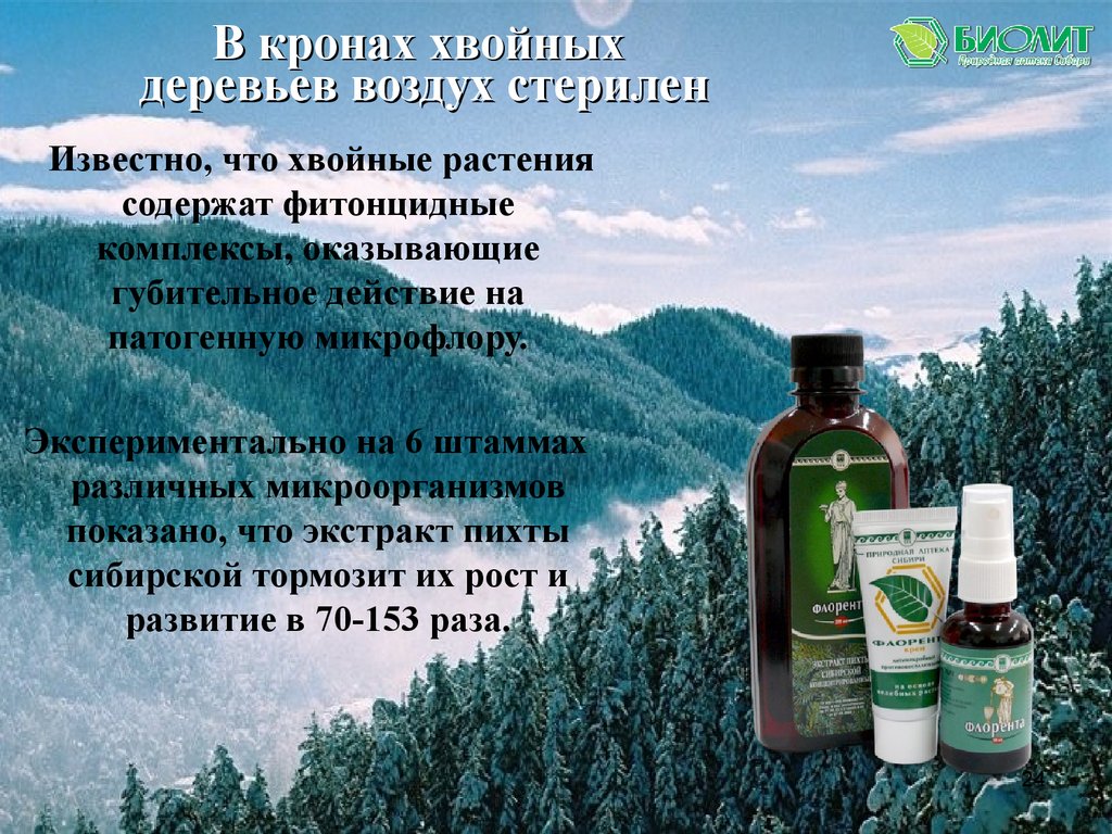 Флорента напиток
