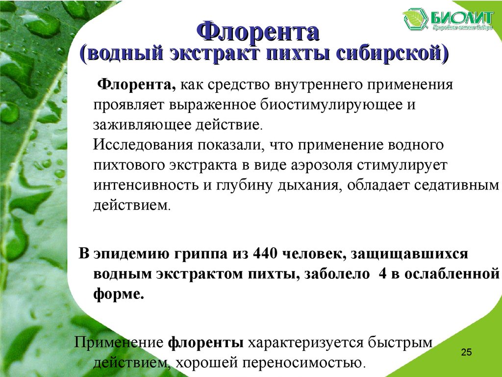 Флорента Арго