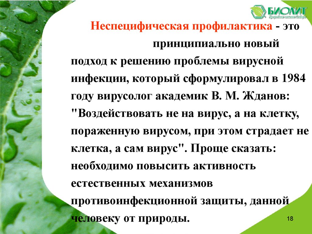 Флорента