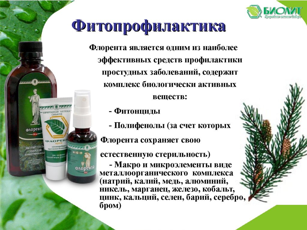 Флорента