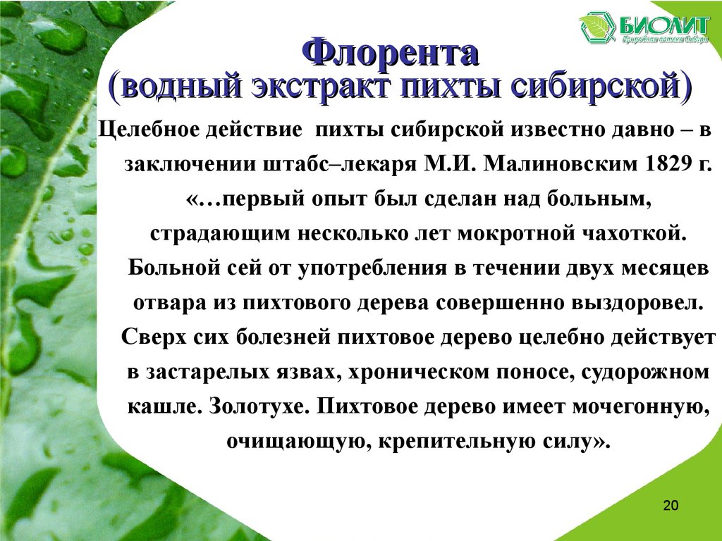 Флорента