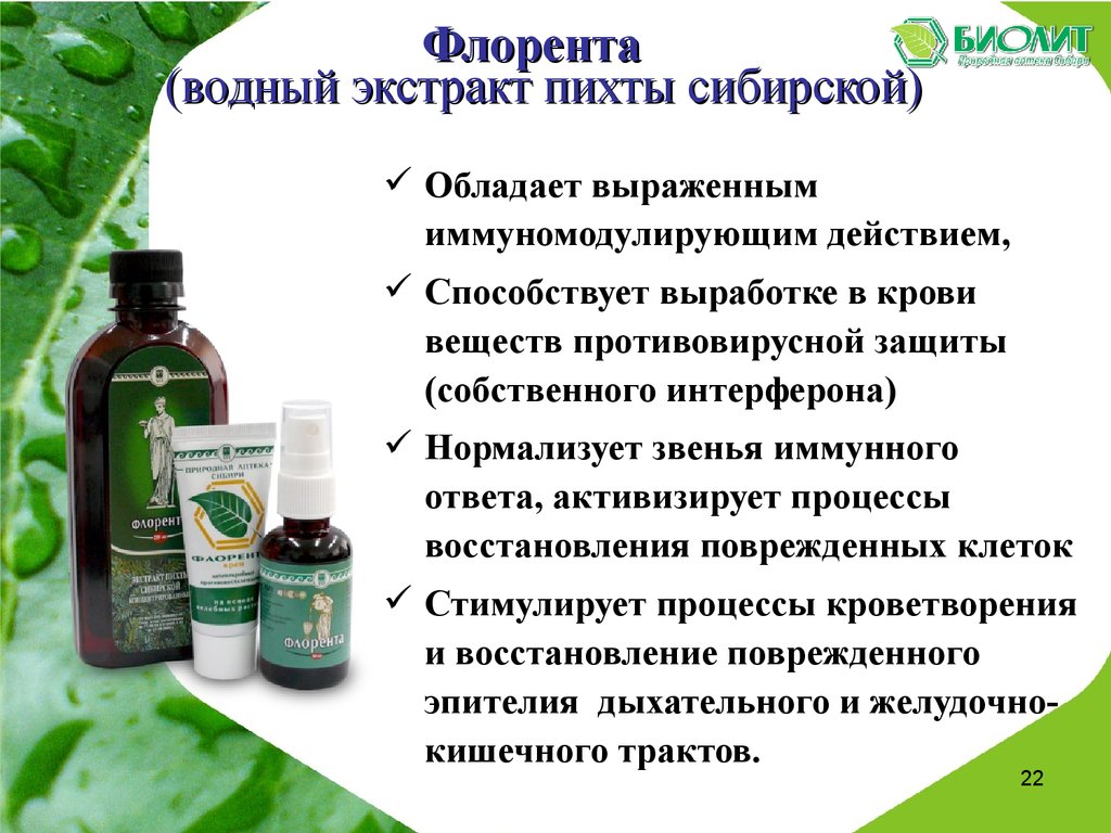 Флорента