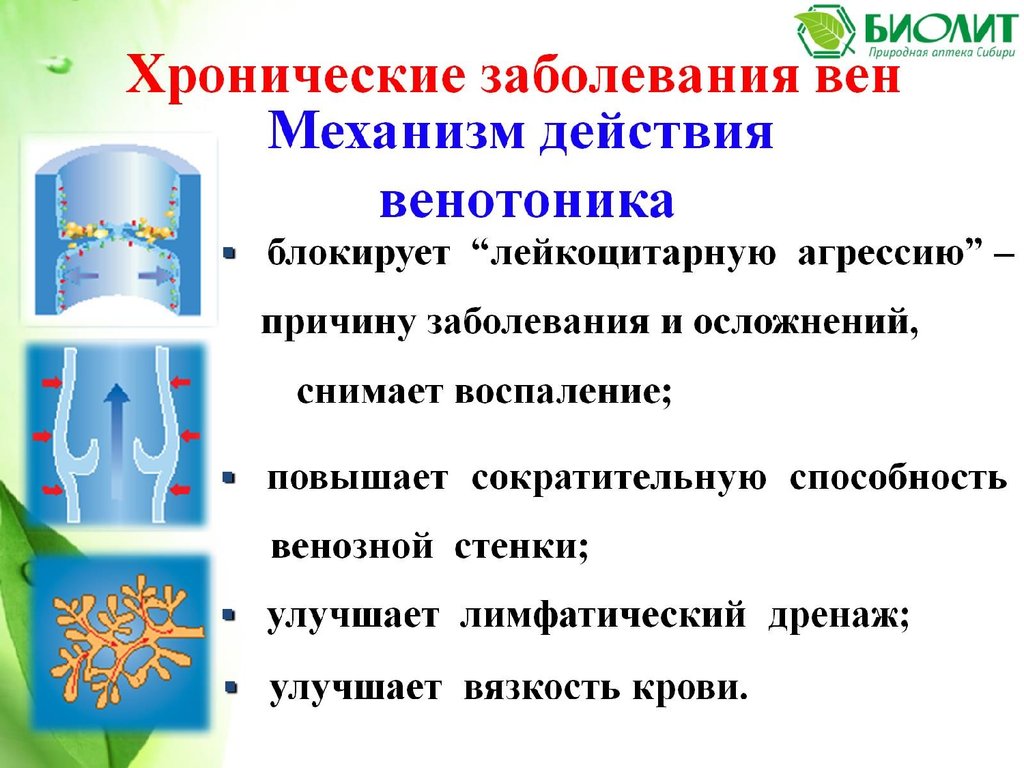 Венорм