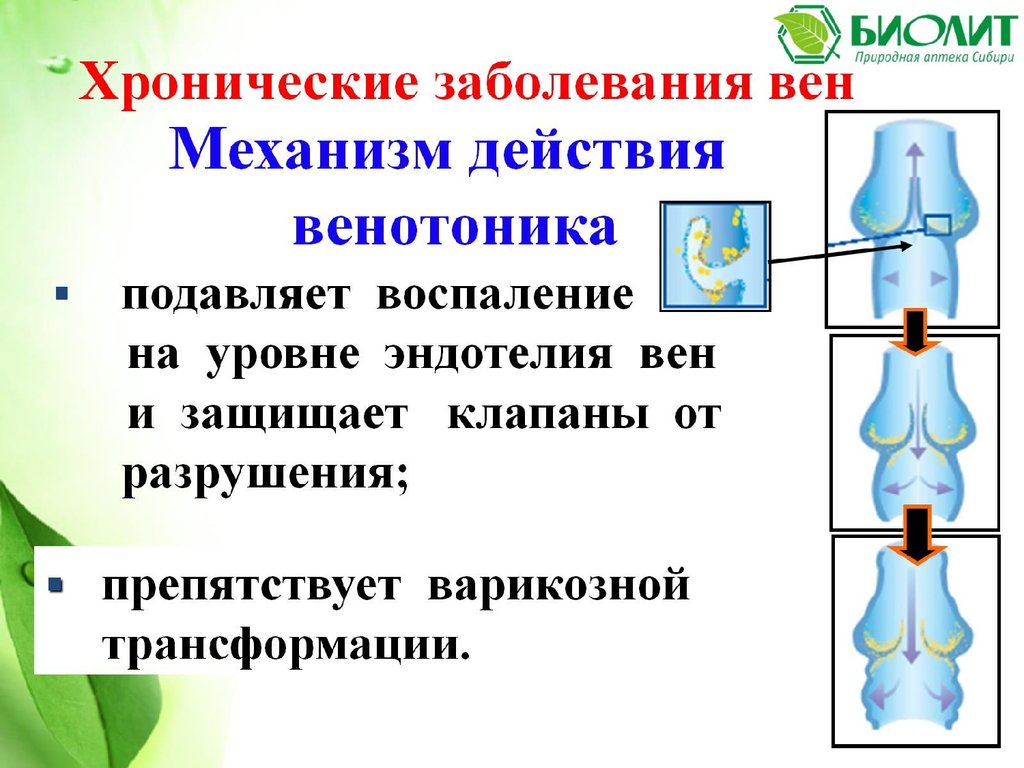 Венорм