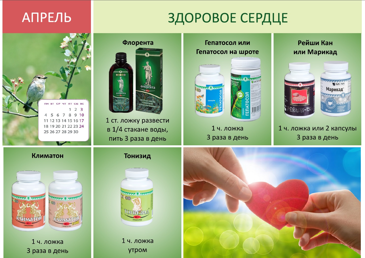 Здоровое сердце Тонизид