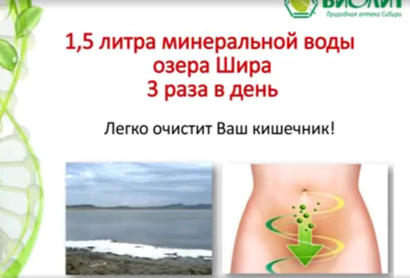 Ширлайн