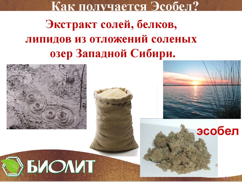 Эсобел