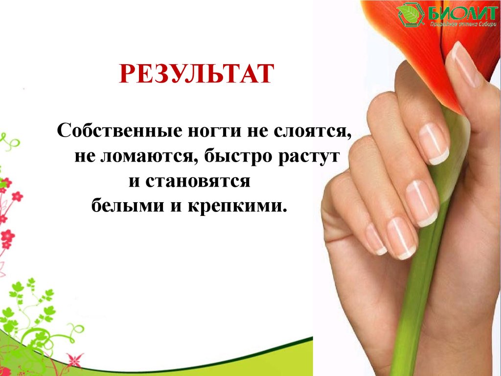 Биолит