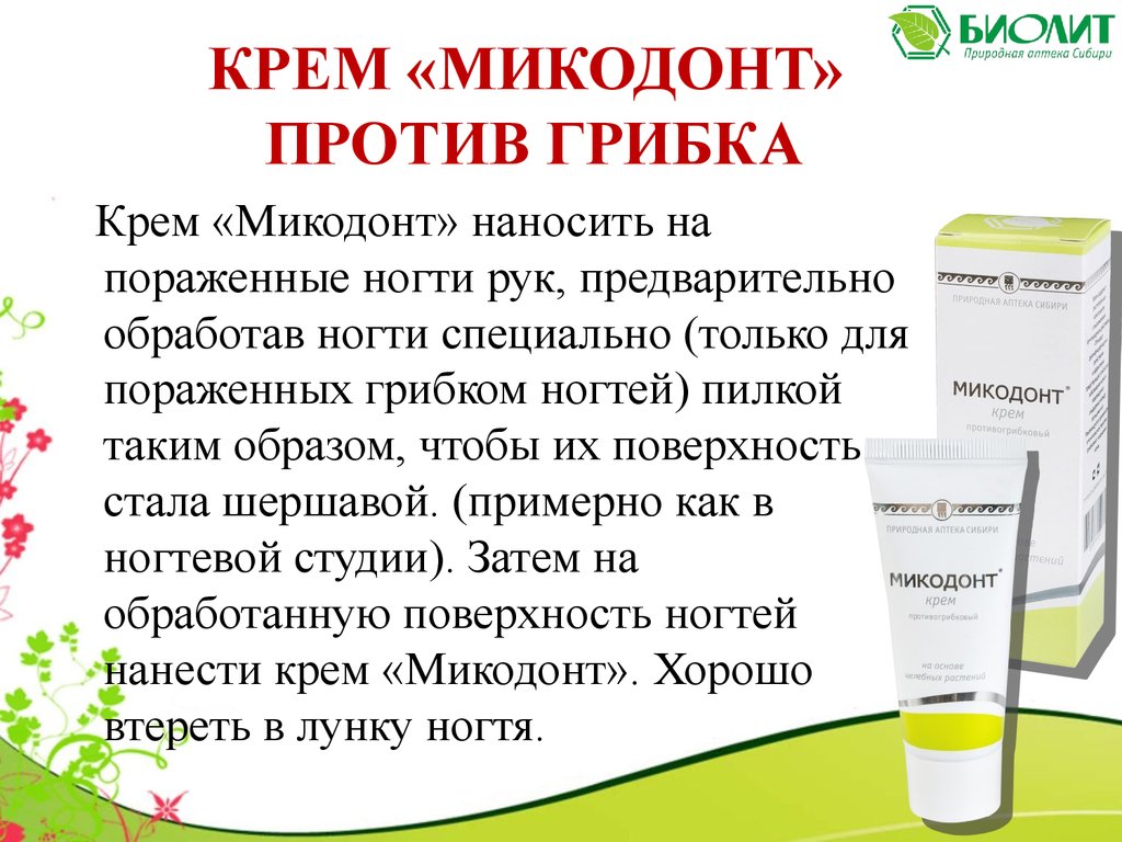 Микодонт