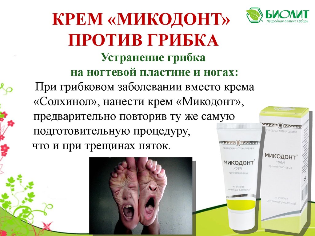 Микодонт