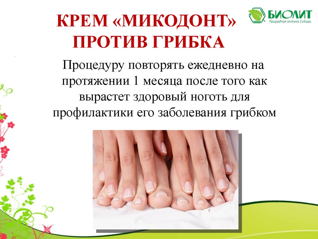 Микодонт