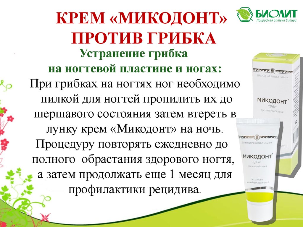Микодонт