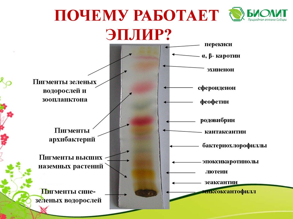 Эплир