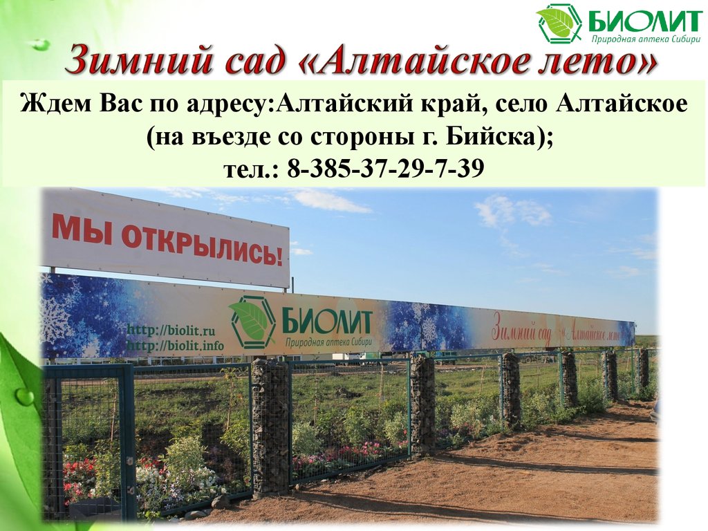 Биолит