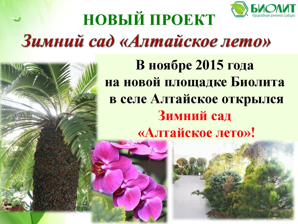 Биолит