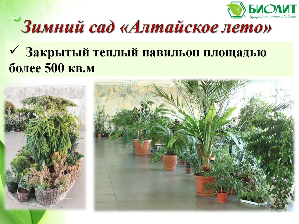 Биолит Урал