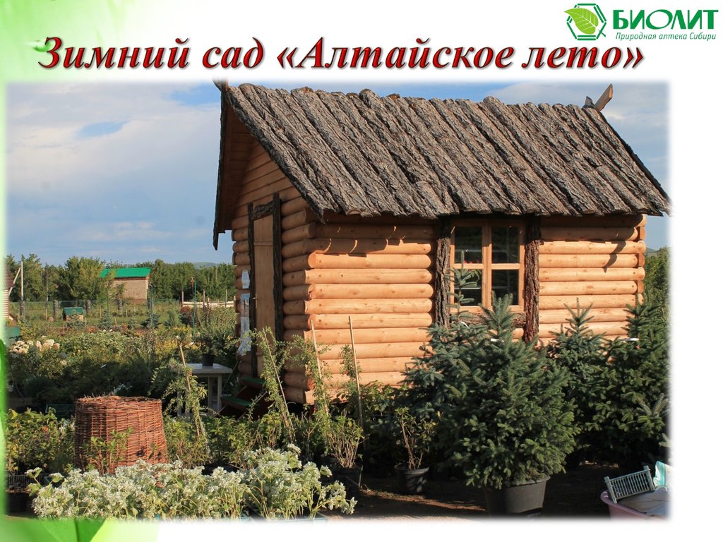 Биолит
