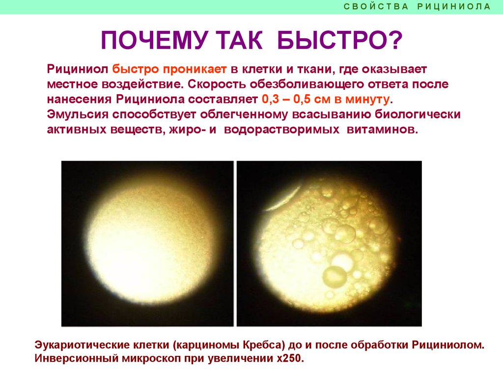 Рициниол Арго