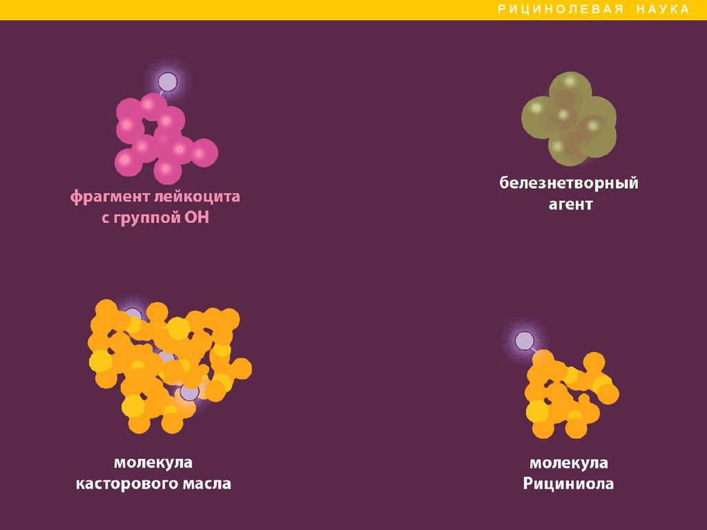 Рициниол Арго