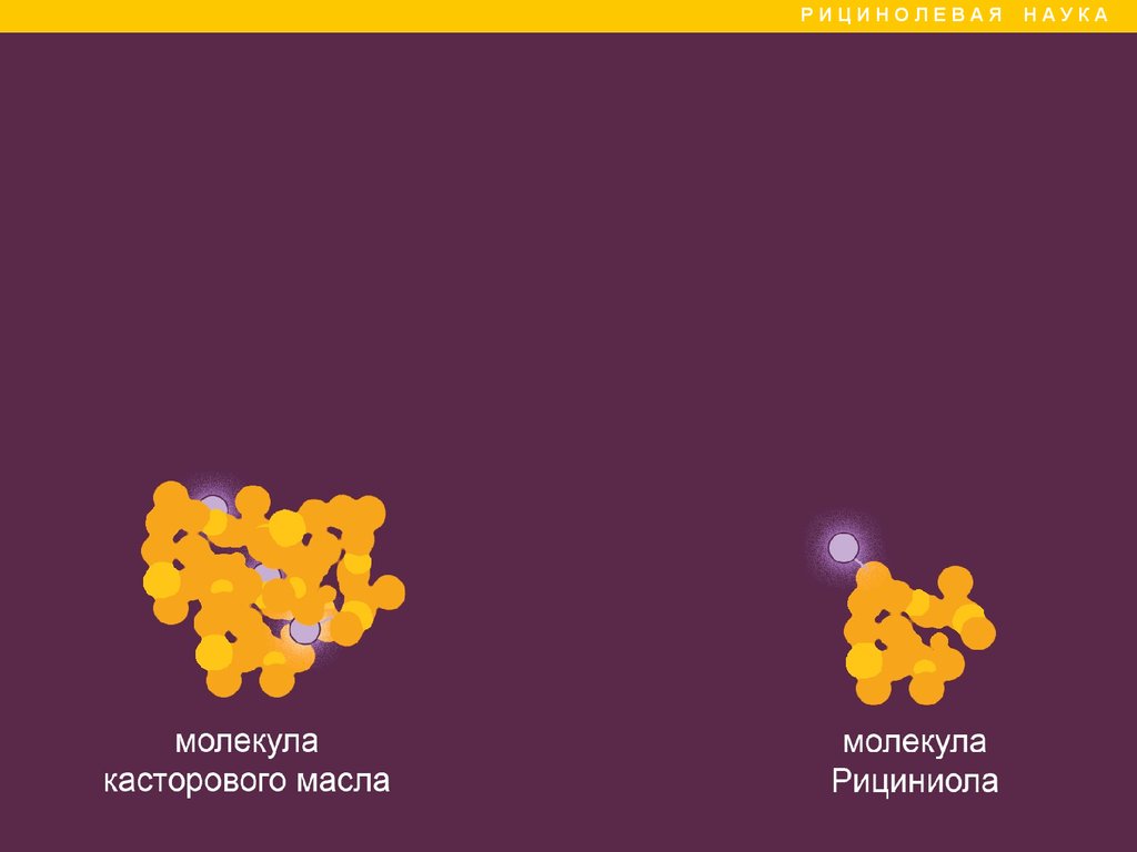 Рициниол Арго