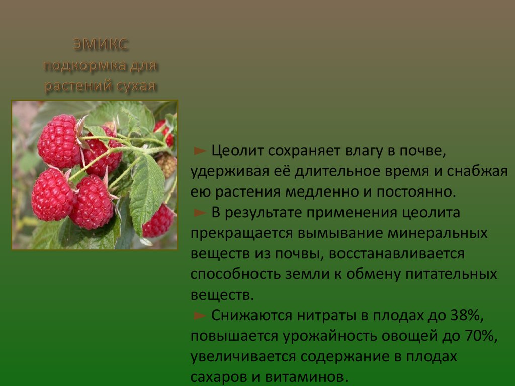 Эмикс Арго