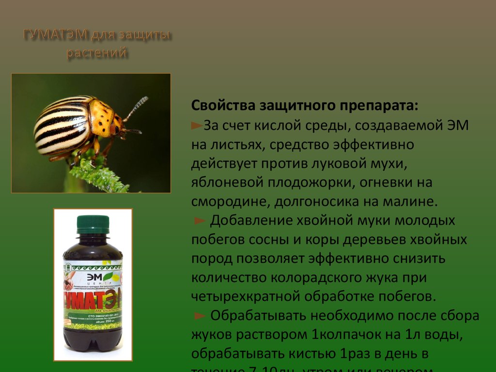 ГуматЭм