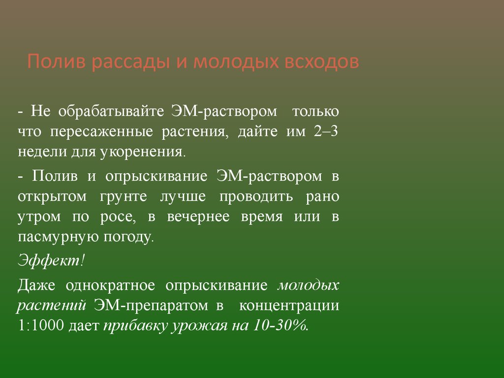 Эм-технология весной