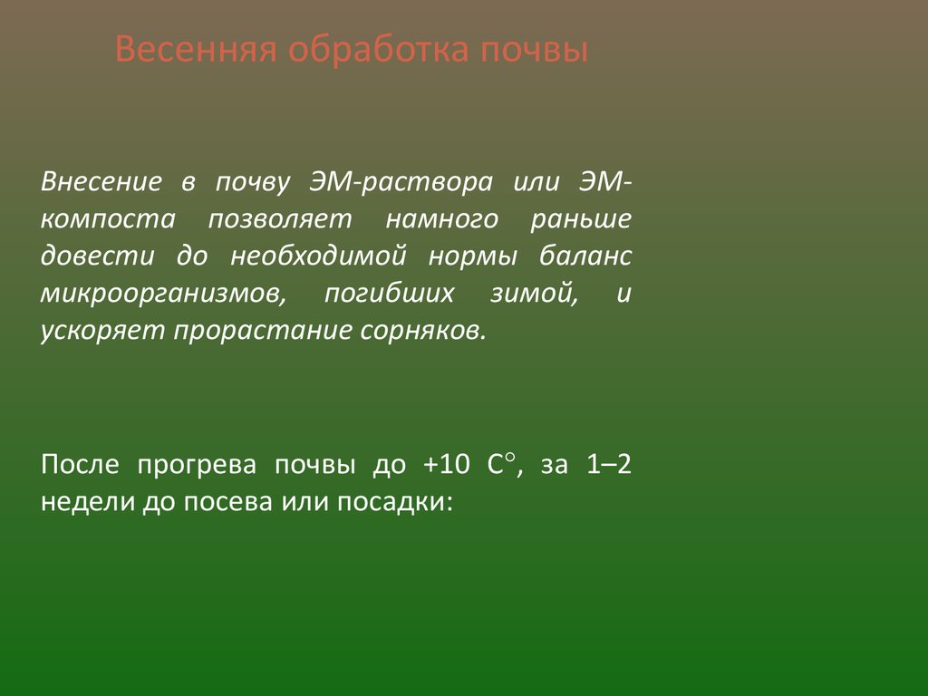 Арго-Эм1