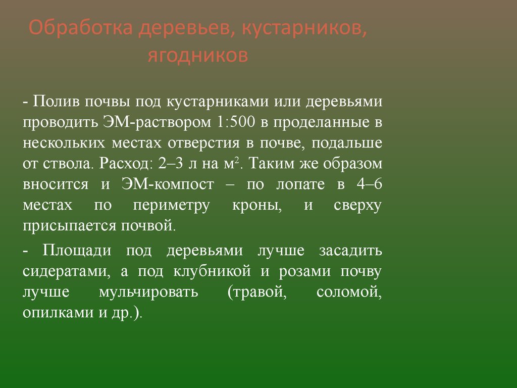 Арго-Эм1