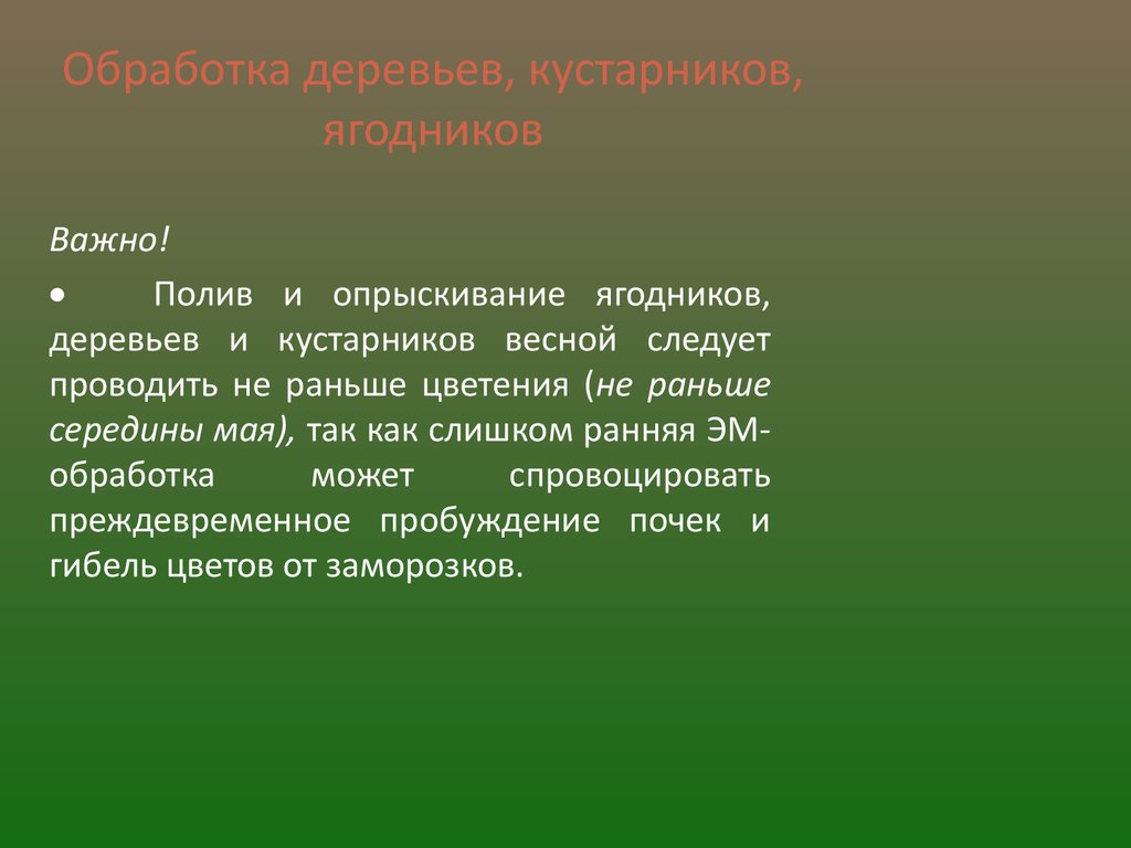 Арго-Эм1
