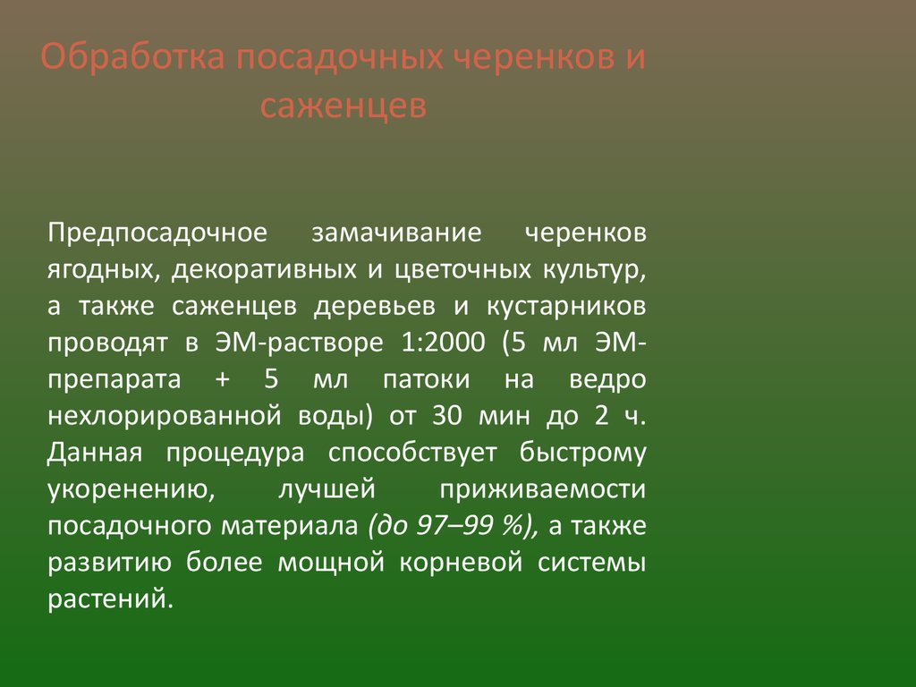 Арго-Эм1