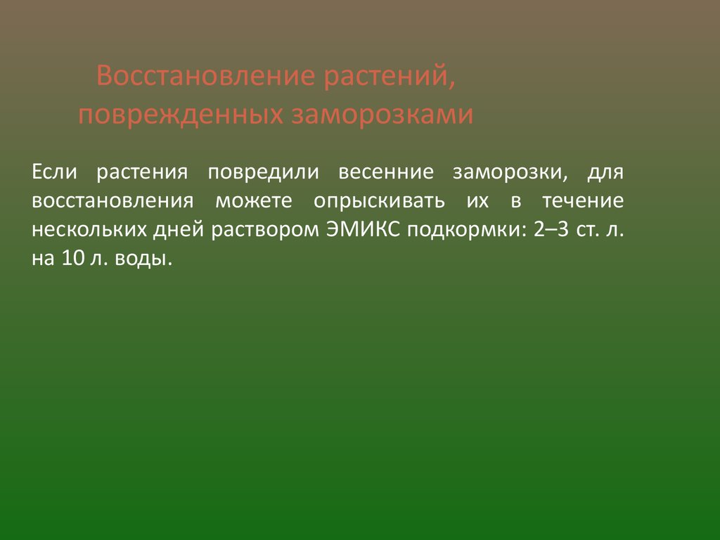 Эм-технология Арго