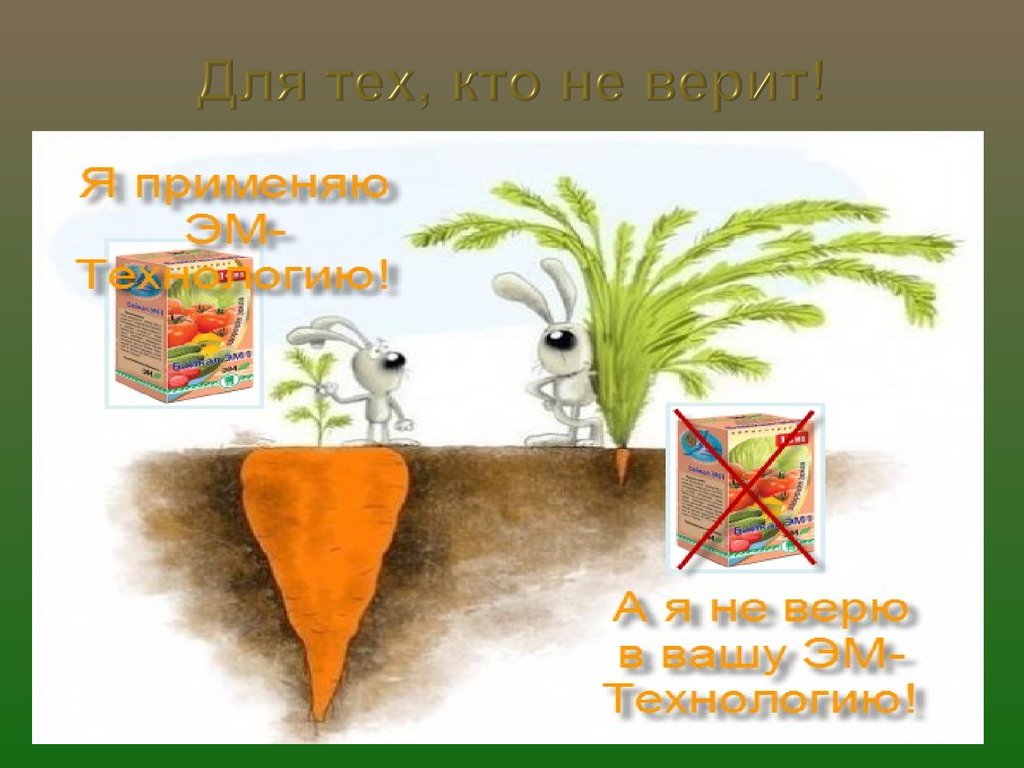 Арго-Эм1