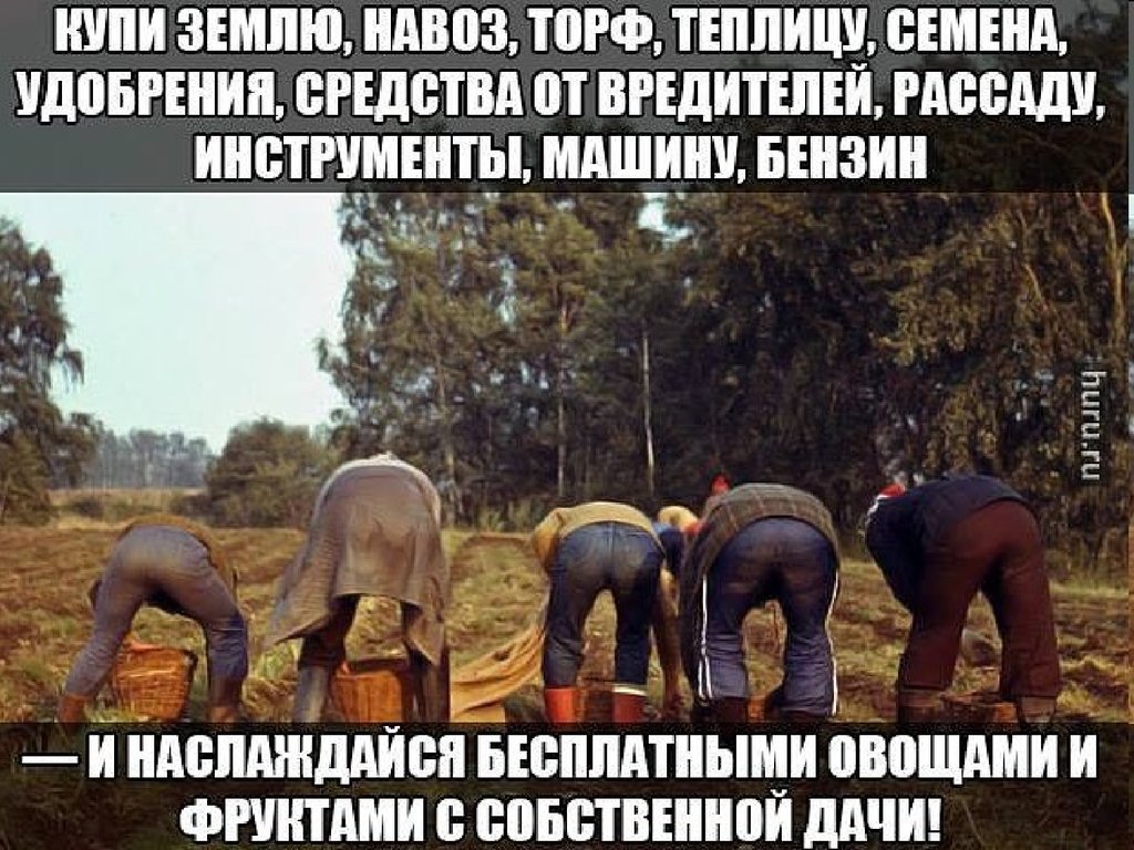 Арго-Эм1