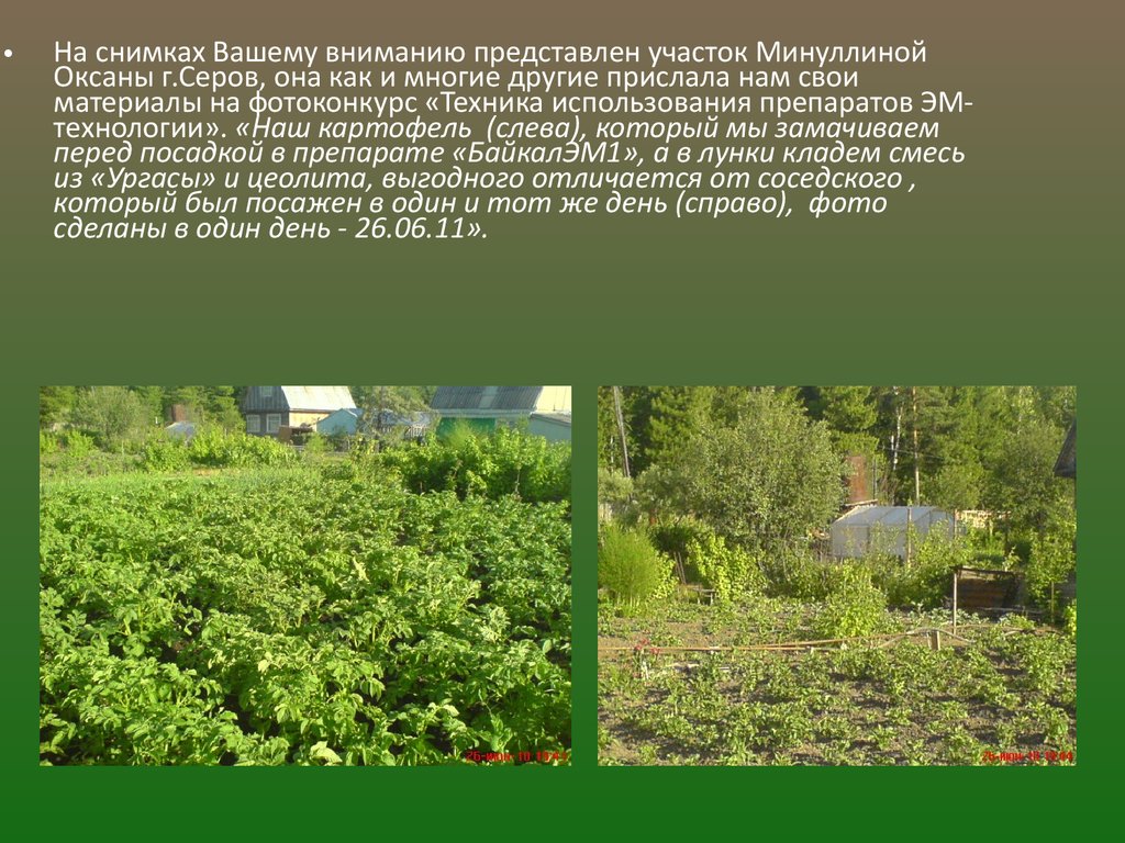 Арго