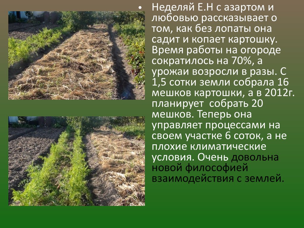 Арго-Эм1