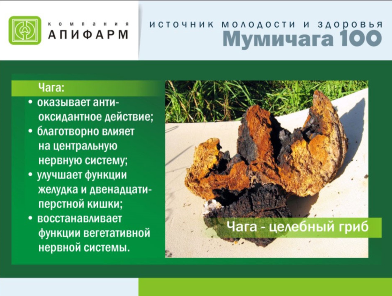 Мумичага
