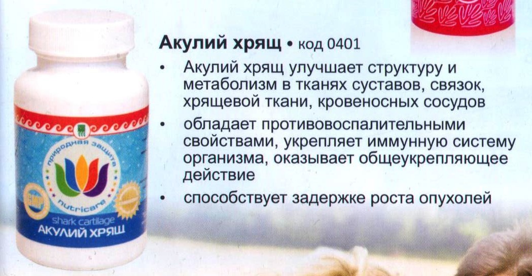 Акулий Хрящ