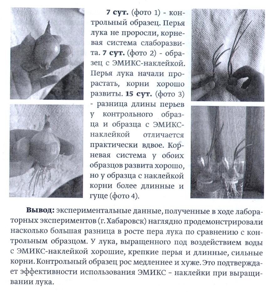 Эмикс-наклейка