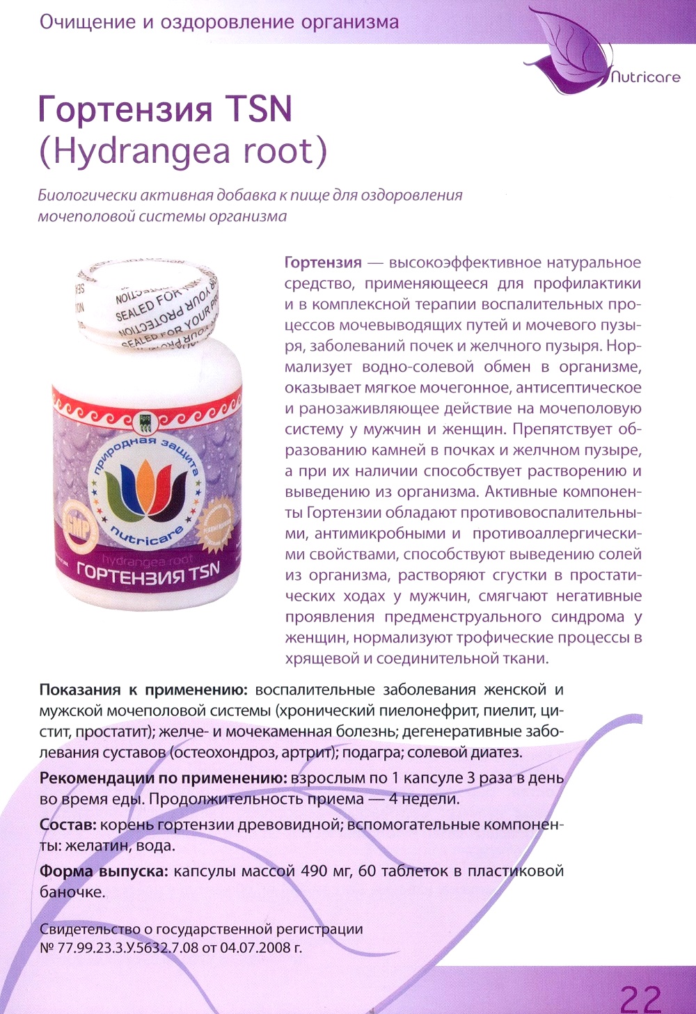 Гортензия