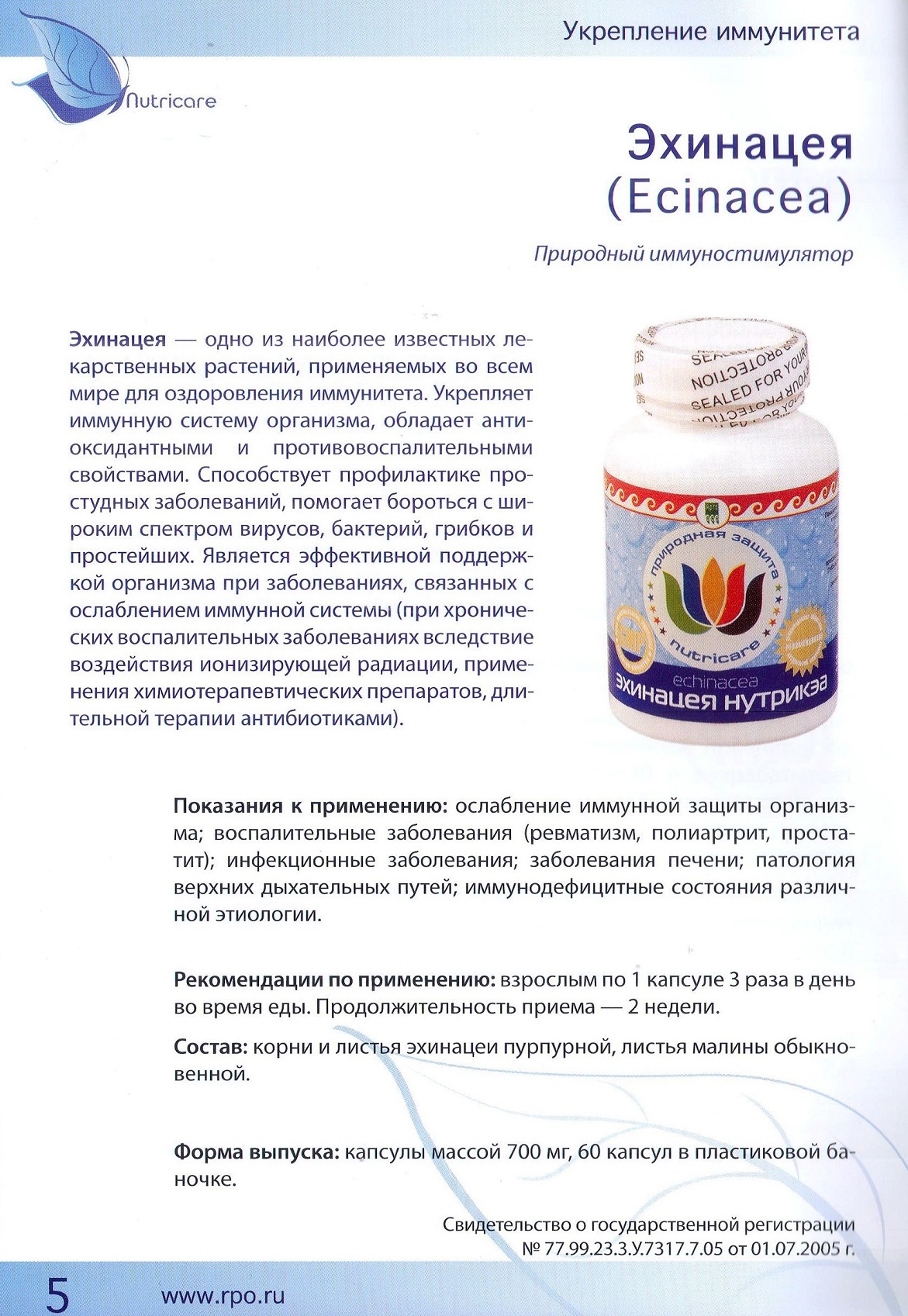 Эхинацея
