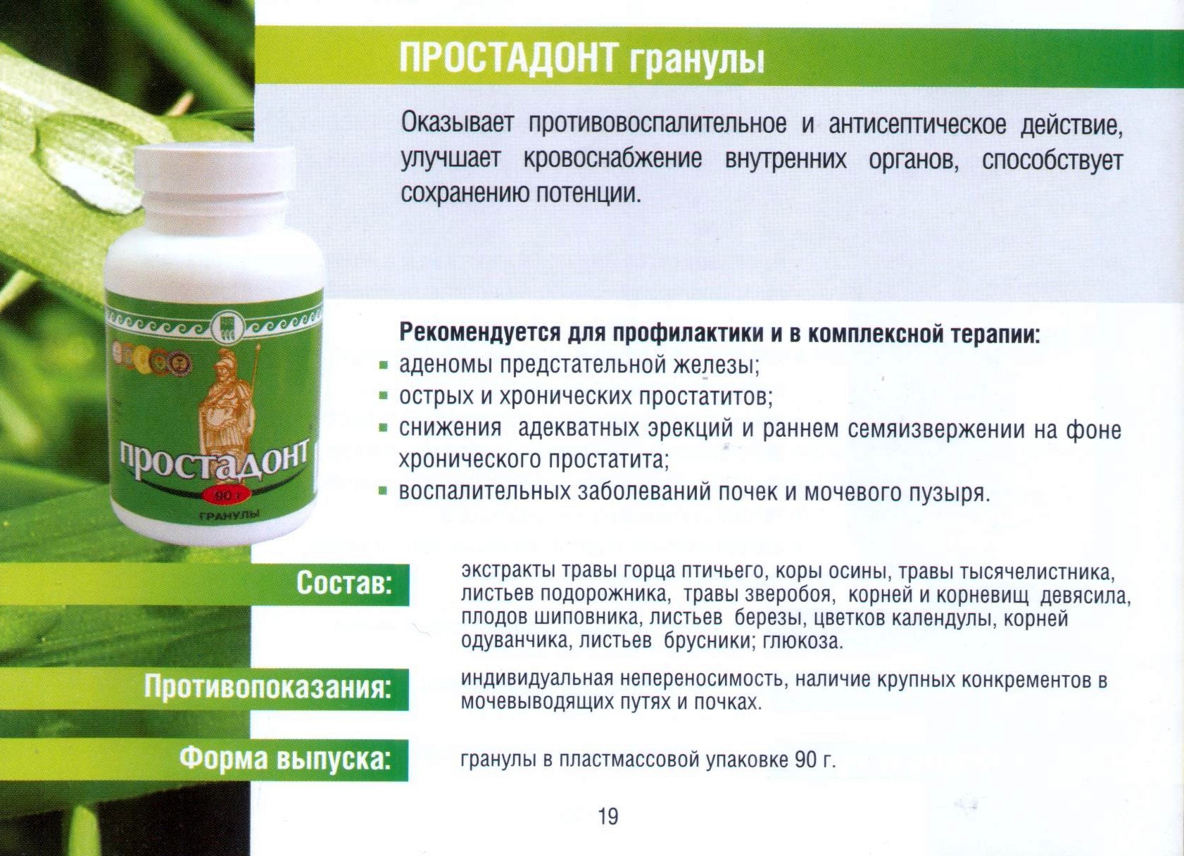 Простадонт