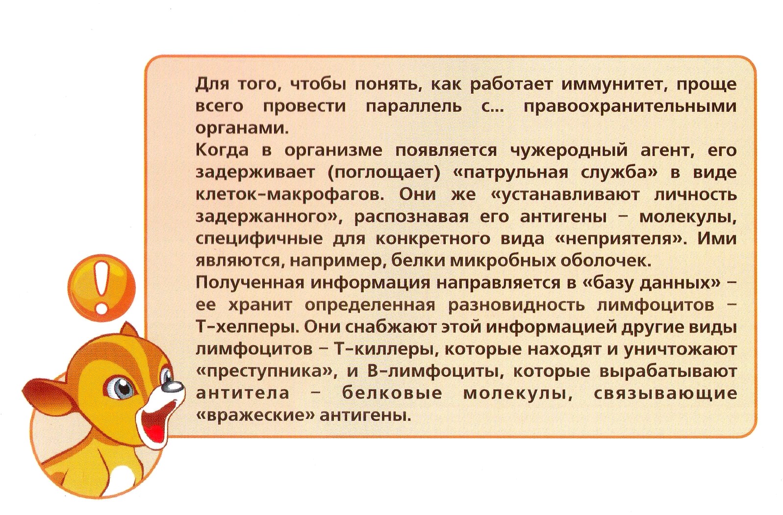 Пантошка Арго