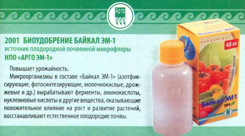 Байкал-Эм1