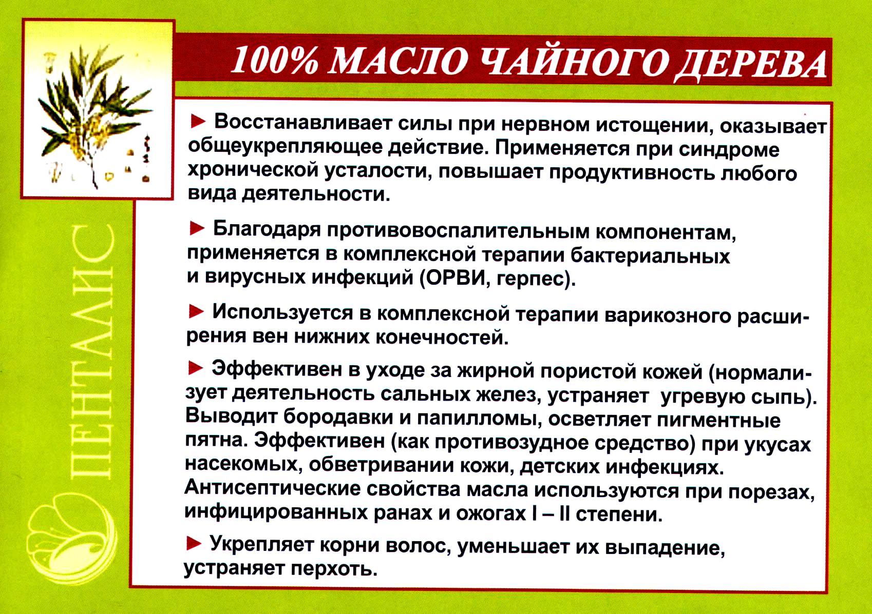 Чайное дерево