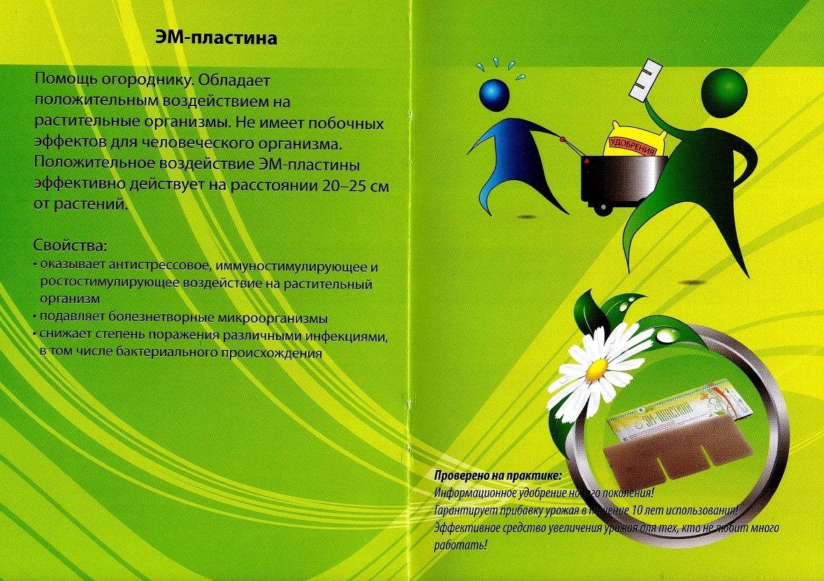 Эм-пластина
